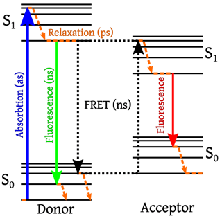 733px-FRET_Jabolinski_Diagram.svg