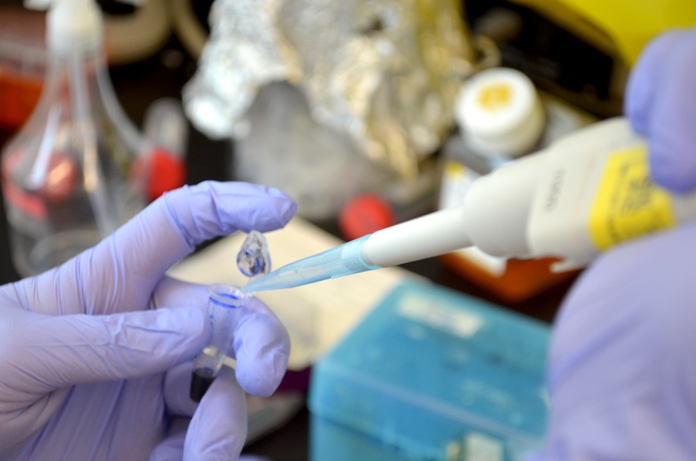 Pipette - 1.jpg Pipette - 1.jpg