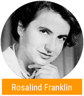 Rosalind Franklin