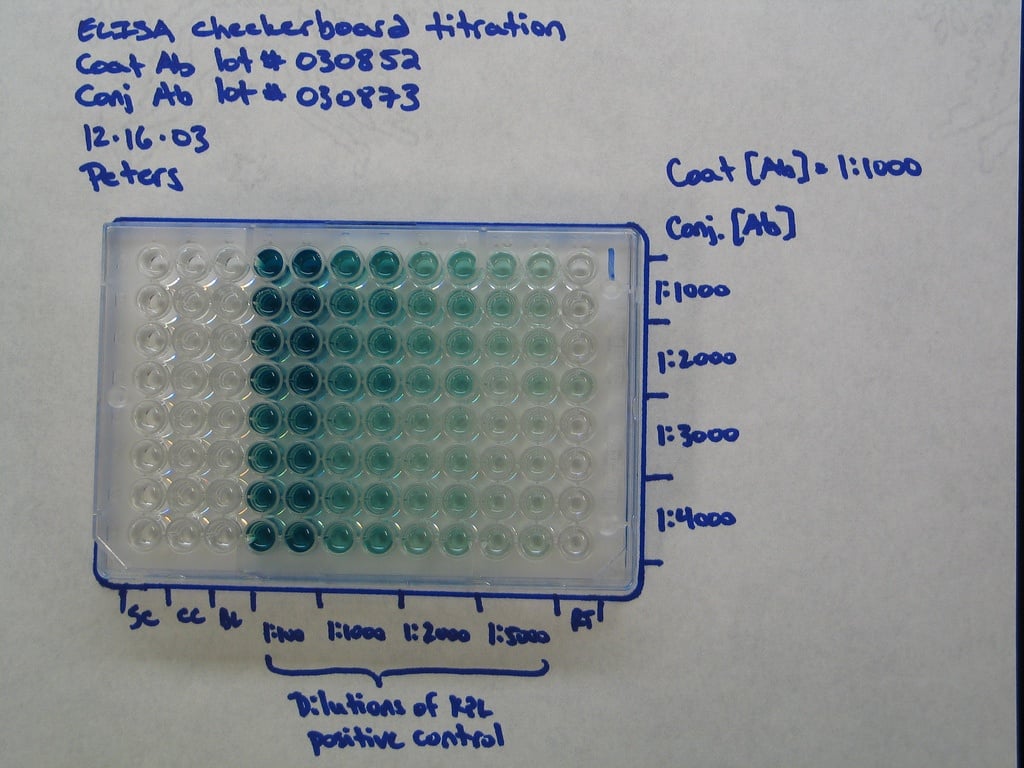 Elisa Plate Layout